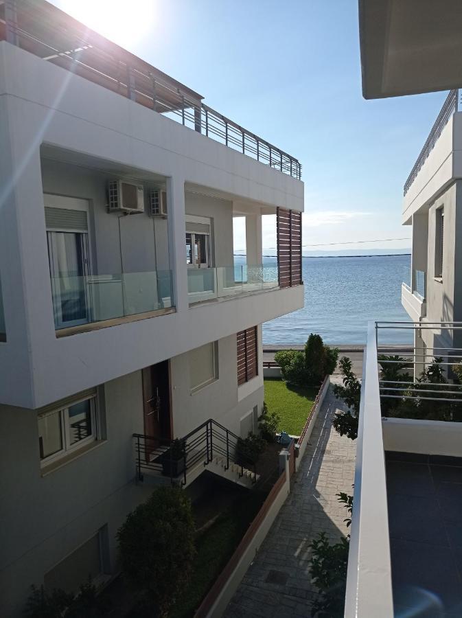 Villa Amare Luxury Living à Vólos Extérieur photo