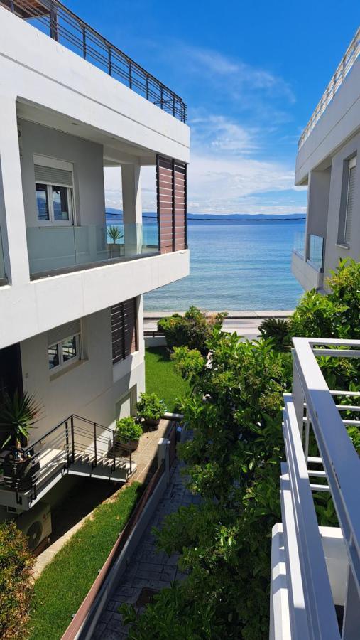 Villa Amare Luxury Living à Vólos Extérieur photo